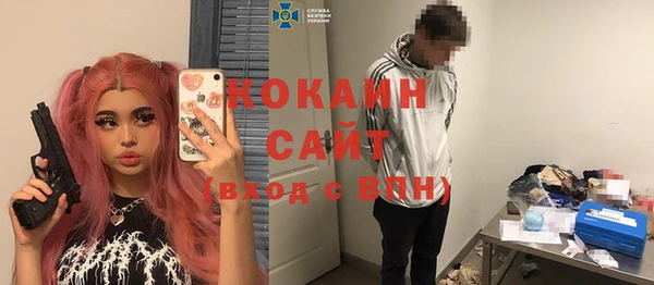 прущие грибы Ростов