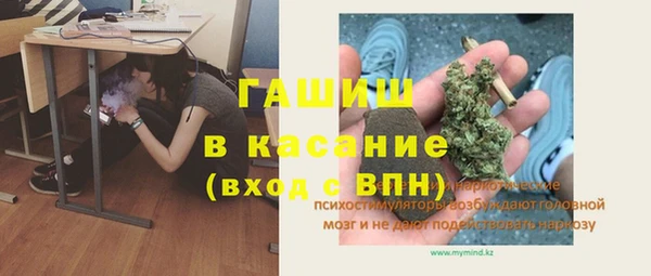 прущие грибы Ростов