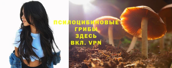 меф Рославль