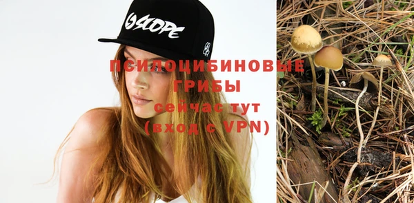 прущие грибы Ростов