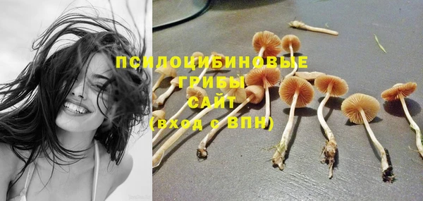 прущие грибы Ростов