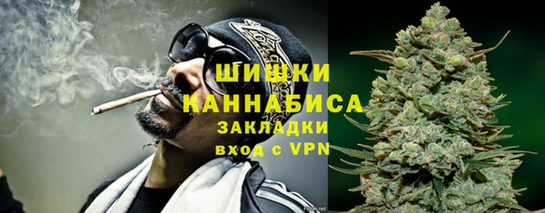 прущие грибы Ростов