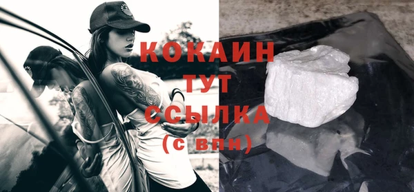 прущие грибы Ростов