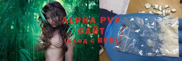 прущие грибы Ростов