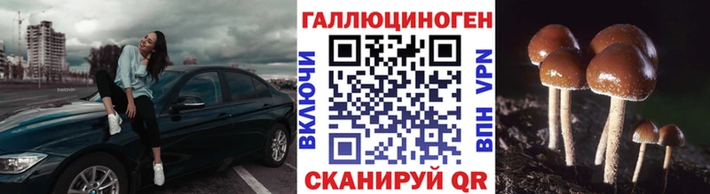 Псилоцибиновые грибы MAGIC MUSHROOMS  Купить  Спасск-Дальний 